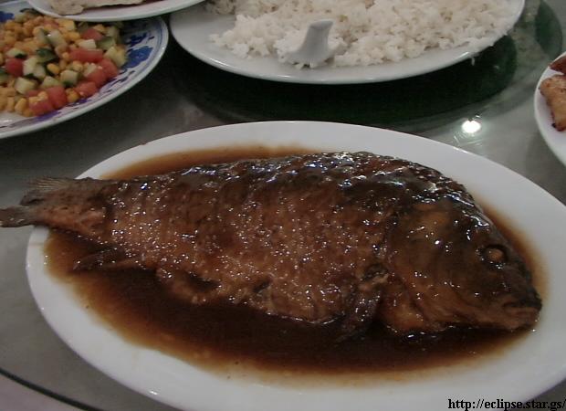 巨大な魚
