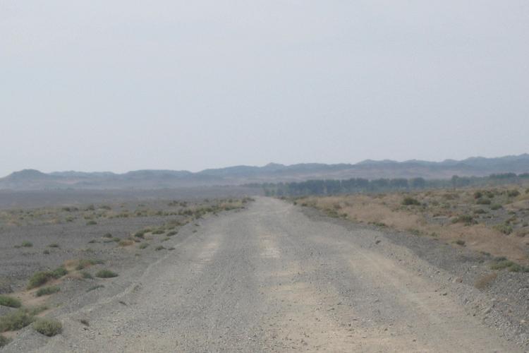観測地近くの砂利道