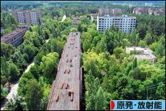 にほんブログ村 環境ブログ 原発・放射能へ