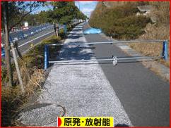 にほんブログ村 環境ブログ 原発・放射能へ