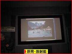 にほんブログ村 環境ブログ 原発・放射能へ