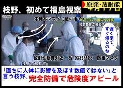 にほんブログ村 環境ブログ 原発・放射能へ