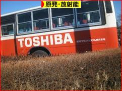 にほんブログ村 環境ブログ 原発・放射能へ