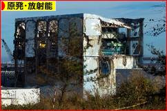 にほんブログ村 環境ブログ 原発・放射能へ