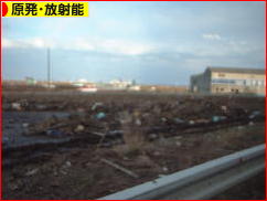 にほんブログ村 環境ブログ 原発・放射能へ