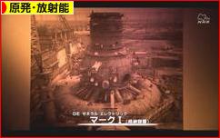 にほんブログ村 環境ブログ 原発・放射能へ