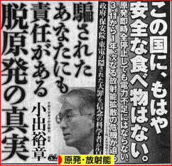 にほんブログ村 環境ブログ 原発・放射能へ