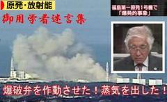 にほんブログ村 環境ブログ 原発・放射能へ