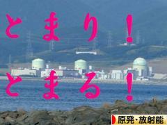 にほんブログ村 環境ブログ 原発・放射能へ