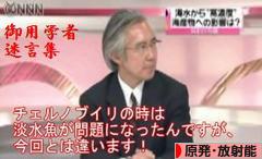にほんブログ村 環境ブログ 原発・放射能へ