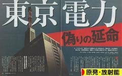 にほんブログ村 環境ブログ 原発・放射能へ