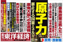 にほんブログ村 環境ブログ 原発・放射能へ