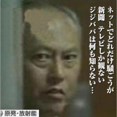 にほんブログ村 環境ブログ 原発・放射能へ