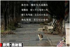 にほんブログ村 環境ブログ 原発・放射能へ