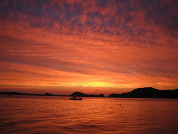 朝焼けをバックに出漁する「年金組」の船