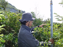 現場での樹木調査（毎木調査）の様子