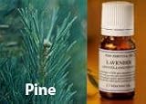 松の精油 テレビン油およびパイン油 A ピネン 月桃精油の香気成分の一つ 月桃と沖縄について語るブログ