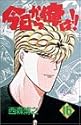 今日から俺は!! 16 (少年サンデーコミックス)