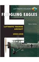 Fledgling Eagles: Luftwaffe Training Aircraft 1933-1945 (Classic Colours)