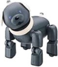 SONY AIBO