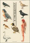 私家版鳥類図譜 (KCデラックス モーニング)