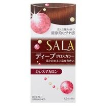 ＳＡＬＡ（サラ）　グロスカラー（ディープ）カシスマカロン