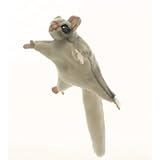 フクロモモンガ35 No.4692