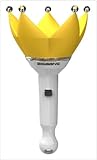 bigbang ペンライト ★ ビッグバン ペンライト ★ 公式 応援 グッズ