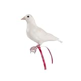 バード ハト A PUEBCO