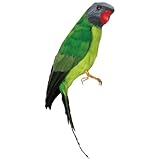 バード グリーン パロット PUEBCO