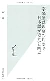 字幕屋は銀幕の片隅で日本語が変だと叫ぶ (光文社新書)