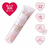 資生堂 インテグレート ミネラルベース スキンエフエクト CC 20g