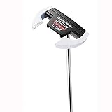 ９代目パター ゴースト スパイダー Si 74 Mid をｇｅｔ 使用編 鯖が行く ゴルフ Camp Ski Diving あっちこっち