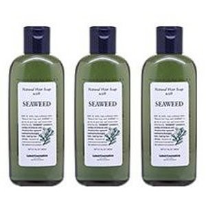 【X3個セット】 ルベル ナチュラル ヘアソープウィズ SW（シーウィード）240ml LebeL