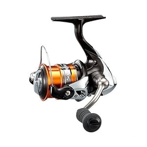 ソース画像を表示