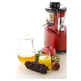 貝印 低速生搾りジューサー フレビーナ DK-5047