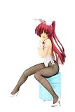 向坂環ホワイトバニーVer. (1/5 スケールPVC塗装済完成品)
