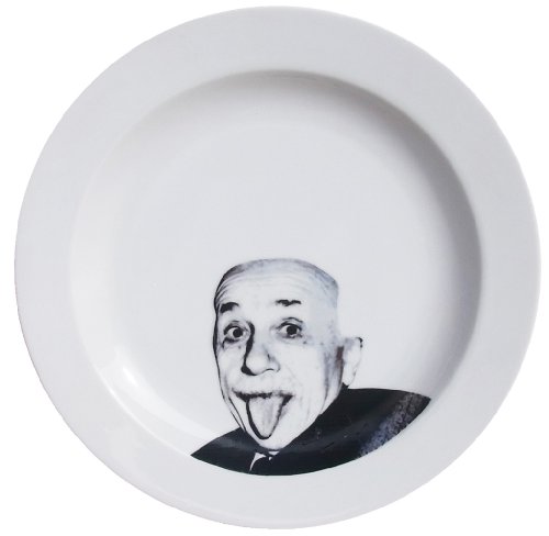 【おもしろ食器シリーズ】 フェイスディッシュ アインシュタイン SAN2208-2