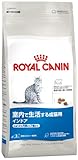 ロイヤルカナン FHN インドア 猫用 4kg