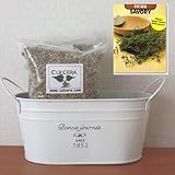 サボリの栽培セット/標準セット（液体肥料なし）プランターホワイト仕様