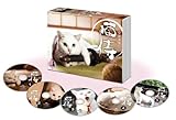 ドラマ「 猫侍 」DVD-BOX