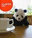 パンダです。