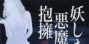 妖しき悪魔の抱擁 (ヴィレッジブックス)