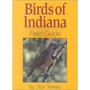 Flickr: The Field Guide: Birds of British.