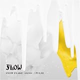 SNOW FLAKE~記憶の固執~