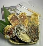 かき松島こうは　リアスビックワン[宮城三陸産殻付き牡蠣：成熟した二年～三年カキ]Ｌサイズ１０個＋オイスターナイフ＆軍手セット