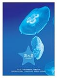 流れ星 完全版 DVD-BOX