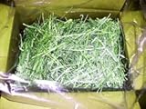 やさしい牧草　チモシーダブル　1㎏