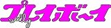 週刊プレイボーイ 2011年 21号~24号4冊セット