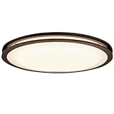 NEC 蛍光灯シーリング アーバンオーク (6~10畳用・リモコン付・LED保安球付・7,940ルーメン) 9LKZ798LSG